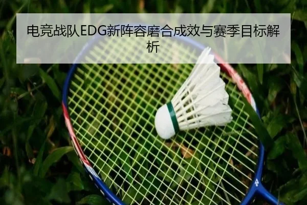 dian-jing-zhan-dui-xin-zhen-rong-mo-he-cheng-xiao-yu-sai-ji-mu-biao-jie-xi-2-516.jpg